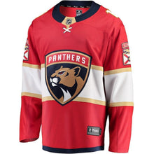Load image into Gallery viewer, Roberto Luongo Florida Panthers Player Swingman Jersey