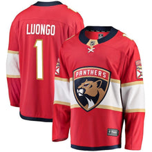 Load image into Gallery viewer, Roberto Luongo Florida Panthers Player Swingman Jersey